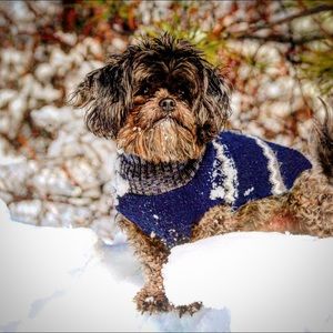 Meet your Posher, Ryan